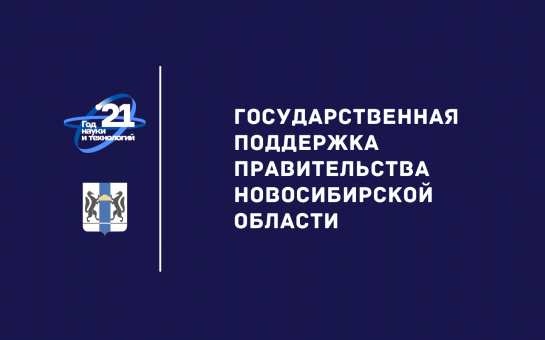 Подведены итоги конкурсов на присуждение именных премий, стипендий и грантов Правительства Новосибирской области
